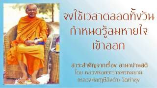 จงใช้เวลาตลอดวันกำหนดรู้ลมหายใจเข้าออก   สาระสำคัญจาก อานาปานสติ โดยหลวงพ่อฤาษีลิงดำ