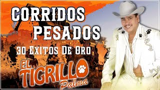 El Tigrillo Palma 🔥|| Corridos Pesados Mix Pa' Pistear || 30 Éxitos De Oro✅