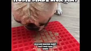 Home Made Lick It Mat - Canine Enrichment