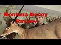 Montana Deer Decoy Review