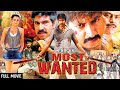 गोपीचंद और तृषा की हिट फिल्म | Phir Ek Most Wanted Full Movie Dubbed | Gopichand, Trisha Krishnan