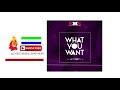 mic x rozzy what you want official audio 2018 🇸🇱 music sparks