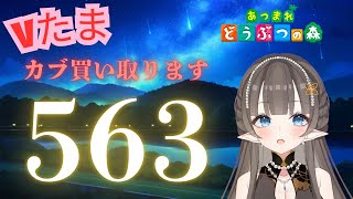 【#あつまれどうぶつの森】1カブ『563ベル』で売る配信　#あつ森　#カブ　#Vたまch