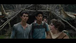Dylan O'brien true wannabe in the Maze Runner