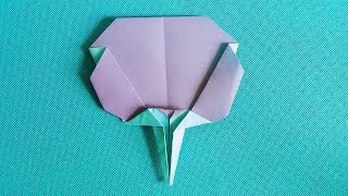 折纸王子：小扇子折纸大全教程讲解详细一看就会 Origami tutorial 折り紙教程