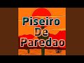 Piseiro de Paredao