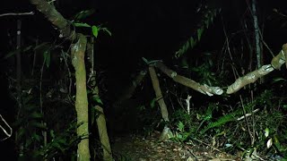 Gunung Jerai...Alur Naga.... MISTERI Kampung Bunian