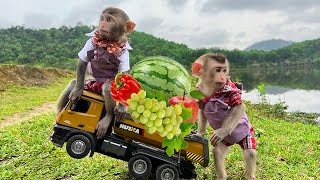 The moments Bim Bim takes care of baby monkey Obi