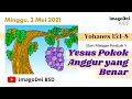 imagoDei Kids - Minggu, 2 Mei 2021: Hari Minggu Paskah V (Yohanes 15:1-8)