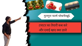 टमाटर की खेती || Tamater ki kheti !!🍅🍅🍅!! ||