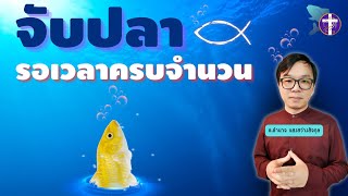 ᶜᶜ จับปลา รอเวลาครบจำนวน | ความลับของปลา 153 ตัว สำคัญกับเราอย่างไร? | TH Sub |