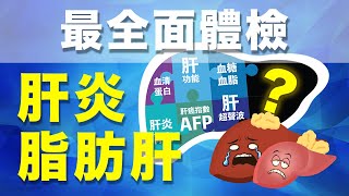 脂肪肝、肝炎  ▏香港最全面的肝體檢