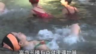 泰雅風呂(溫泉)  美人湯 楓之湯