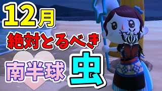 【あつ森】12月絶対とるべき虫〜南半球向け〜ゴライアスオオツノハナムグリやニジイロクワガタを実際捕まえてコツを紹介！あつまれどうぶつの森