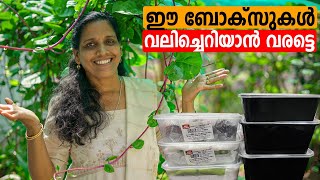 ഈ ബോക്സുകൾ വലിച്ചെറിയാൻ വരട്ടെ | Kitchen Tips | Mini's Lifestyle