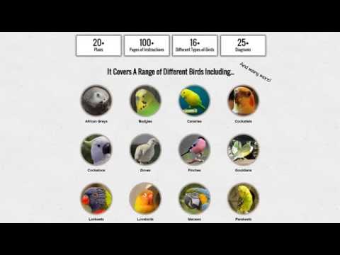 How To Build An Outdoor Bird Aviary Ehow Com How To Build An Outdoor Bird Aviary Ehow Com