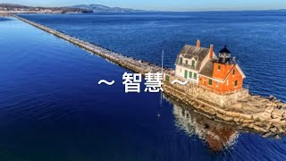 靈修旅程第1183天 智慧 經文：路加福音6:1-5