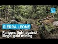 Sierra Leone: Rangers fight against deforestation and illegal gold mining in Kambui Hills Reserve