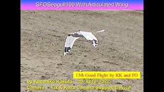 サーボ駆動カモメ型羽ばたき機 SFOSeagull100 with New Articulated wing system 35g: 13th Good Flight by KK and FO