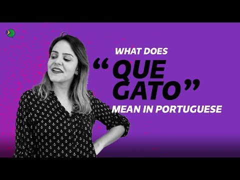 What is Gato in Brazil?
