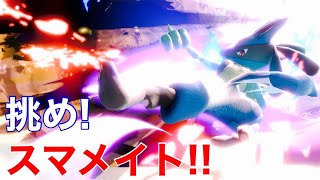 クロスルカリオのスマメイト 1683～【スマブラSP】