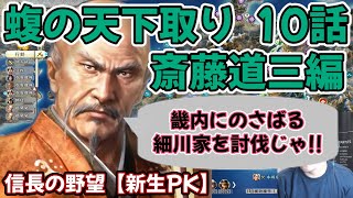 【信長の野望新生PK】マムシの天下取り編　10話　畿内にのさばる細川家を討伐じゃ!!