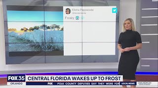 Central Florida wakes up to frost
