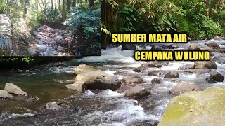 SUMBER MATA AIR CEMPAKA WULUNG