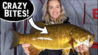 CRAZY UNDERWATER FOOTAGE - Ice Fishing Smallmouth Bass