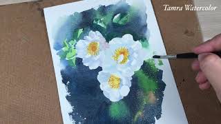 Paint Wild Rose with watercolor