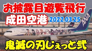 【鬼殺隊9人の柱達の特別塗装機びてお披露目遊覧飛行 】2022.03.25　成田国際空港　NARITA　Airport 離陸　Takeoff　着陸　Landing　ANA  B767 　RWY16R