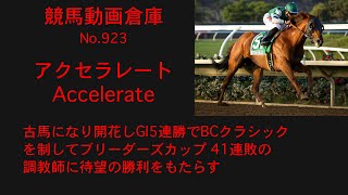 【競馬】アクセラレート　Accelerate【No 923】