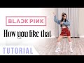 BLACKPINK - 'How You Like That' Dance Tutorial (Explanation & Mirrored) | Ellen and Brian