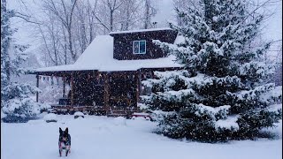 First Snow At My Cozy Cabin Homestead