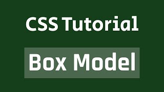 CSS Tutorial | CSS Box Model [Bangla]