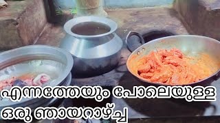 നാടൻ ജീവിതവും വിശേഷങ്ങളും #youtubevideos#kerala village life style#trending#@amnoos rinoos world💕💕