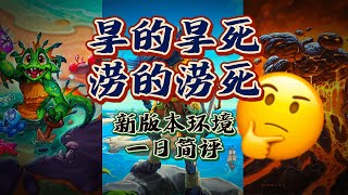 旱的旱死，涝的涝死。新版本環境一日簡評【爐石戰記】#hearthstone #爐石戰記