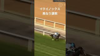 【ドバイSC】イクイノックス馬なりで回ってくるだけで圧勝してしまう