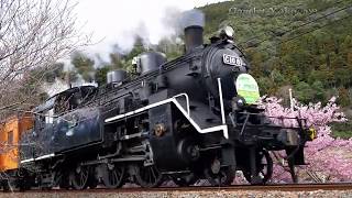 大井川鉄道　川根温泉笹間渡　C10　SLフェスタ客車列車