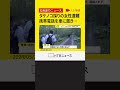 タケノコ採りに入った70代くらいの女性が行方不明携帯電話持たず捜索続く北海道・北広島市