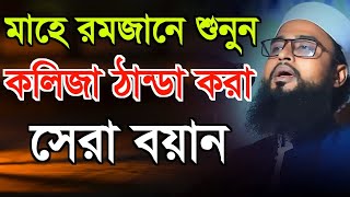 মাহে রমজানে শুনুন কলিজা ঠান্ডা করা সেরা বয়ান | আব্দুর রহিম আল হুসাইনী | abdur rahim al hussaini