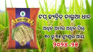 nath seeds // nath poha dhan // ନାଥ ପୋହା ଧାନ  ଖରା ଦିନିଆଁ ଧାନ ଚାଷ କରି ପାରିବେ ୩୦ ରୁ ୩୫ କ୍ୟୁଣ୍ଟଲ ଆୟ