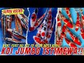 GAK ADA OBAT!! PAKET KOI JUMBO GRADE A SIZE 40-45 CM SUPER HEMAT!! TUNGGU APA LAGI!!