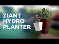 Planter Box Up to 7 Days no Watering* | Ziant Hydro Planter