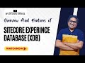 24- Sitecore Experience Database (xDB) : A Comprehensive Overview And Features Explained | Analytics