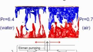 Rotating Rayleigh-Benard convection and its optimal Prandtl number for heat convenction