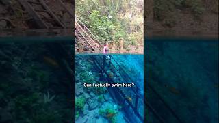 Can I actually swim here?