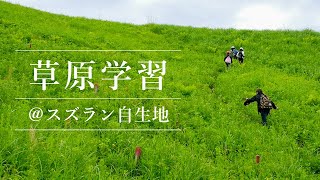 【草原性植物を観察】波野小学校の草原学習