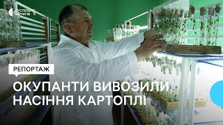 У Седневі росіяни пограбували підприємство, що займається селекцією