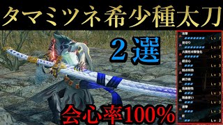 【モンハンサンブレイク】タマミツネ希少種太刀の最強級テンプレ‼️性能が強すぎると話題に?！誰でも組める超簡単護石で紹介‼